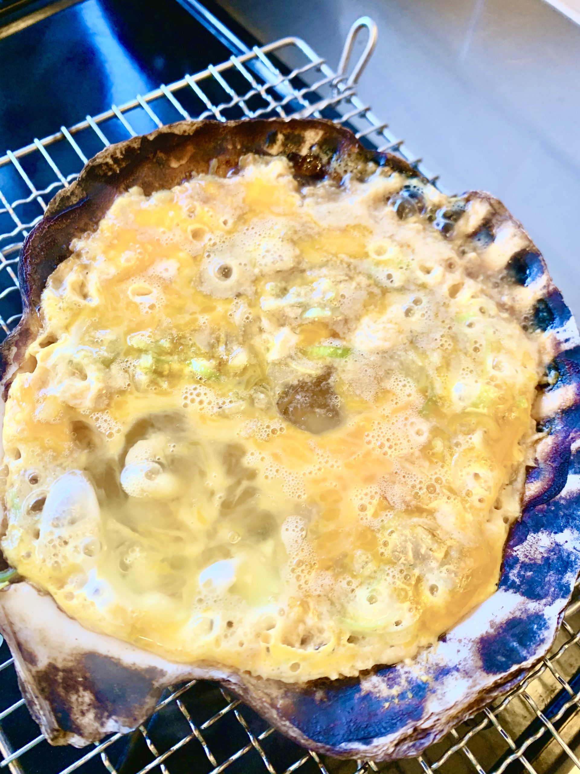 AE59CED2-65B8-4CA4-850B-F954312F624B_1_201_a